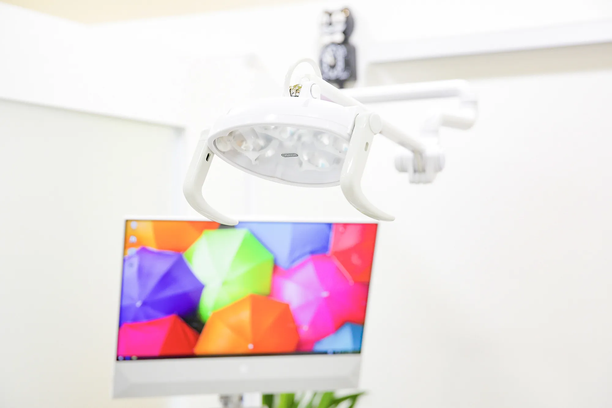 メインビジュアル2枚目